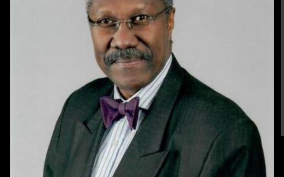 His Excellency, Amb. Akin Fayomi